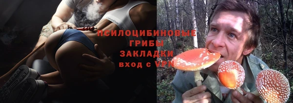 ГАЛЛЮЦИНОГЕННЫЕ ГРИБЫ Арсеньев