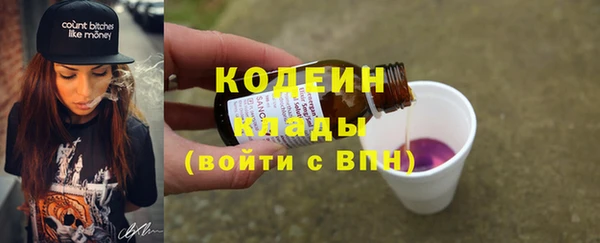 ГАЛЛЮЦИНОГЕННЫЕ ГРИБЫ Арсеньев