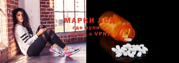 ГАЛЛЮЦИНОГЕННЫЕ ГРИБЫ Арсеньев