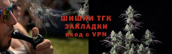 ГАЛЛЮЦИНОГЕННЫЕ ГРИБЫ Арсеньев